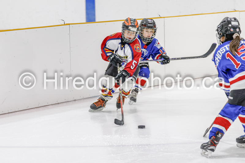 _gp_1979-U9 Oak Cougars.jpg