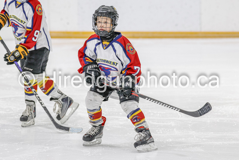 _gp_1981-U9 Oak Cougars.jpg