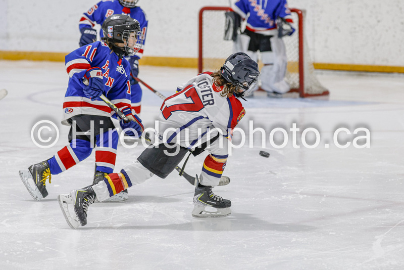 _gp_1990-U9 Oak Cougars.jpg