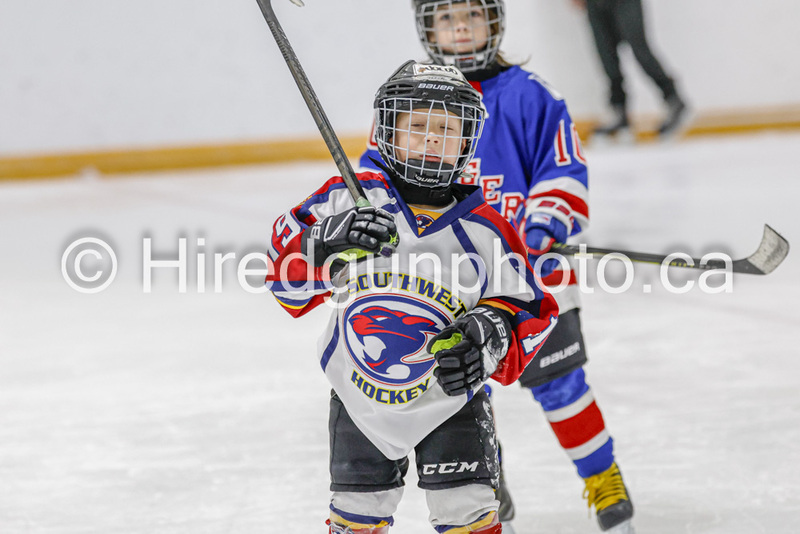_gp_1995-U9 Oak Cougars.jpg