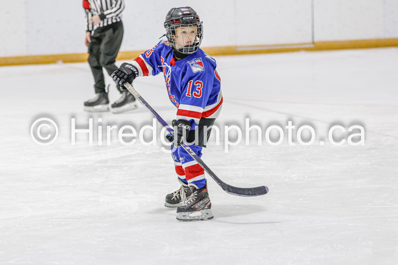 _gp_2003-U9 Oak Cougars.jpg