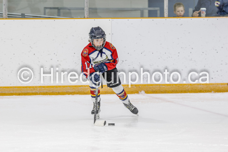 _gp_2008-U9 Oak Cougars.jpg