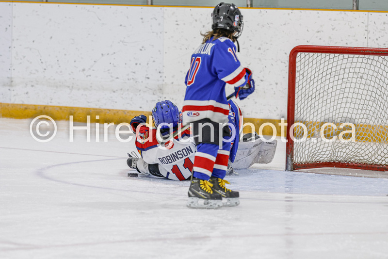 _gp_2012-U9 Oak Cougars.jpg