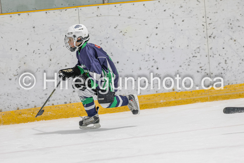 _gp_2189-U9 Oak Cougars(1).jpg