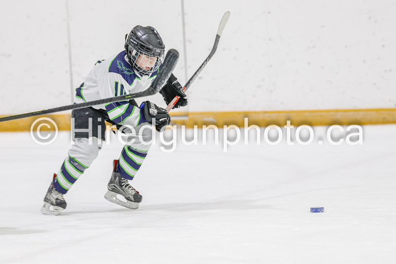 _gp_2195-U9 Oak Cougars(1).jpg