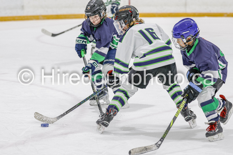 _gp_2210-U9 Oak Cougars(1).jpg