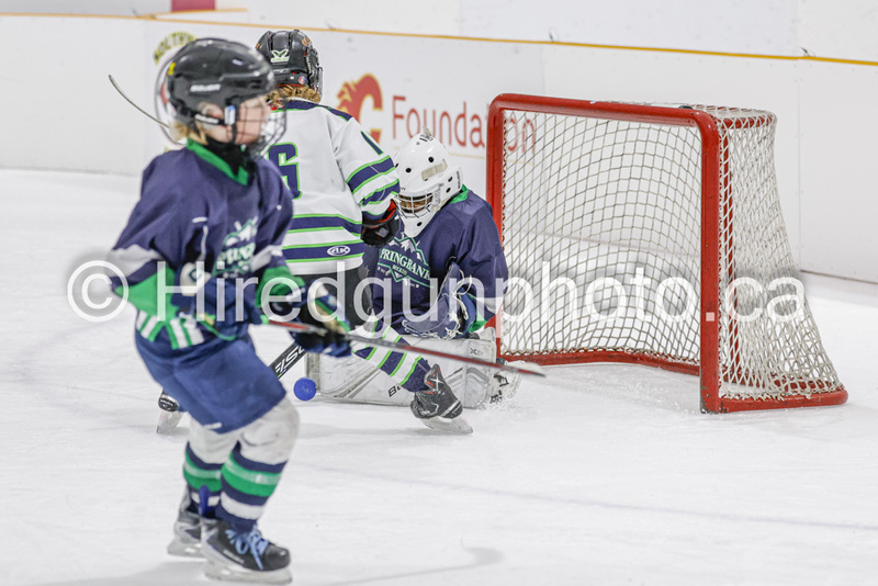 _gp_2262-U9 Oak Cougars(1).jpg