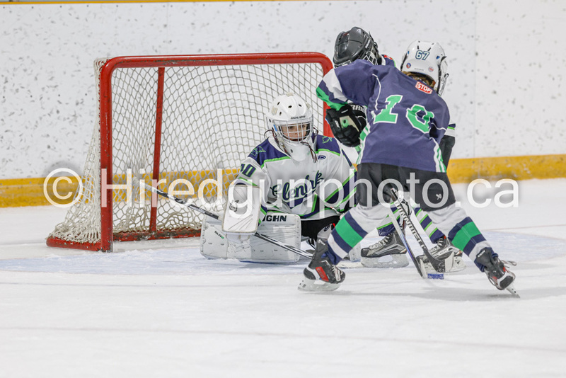 _gp_2268-U9 Oak Cougars(1).jpg