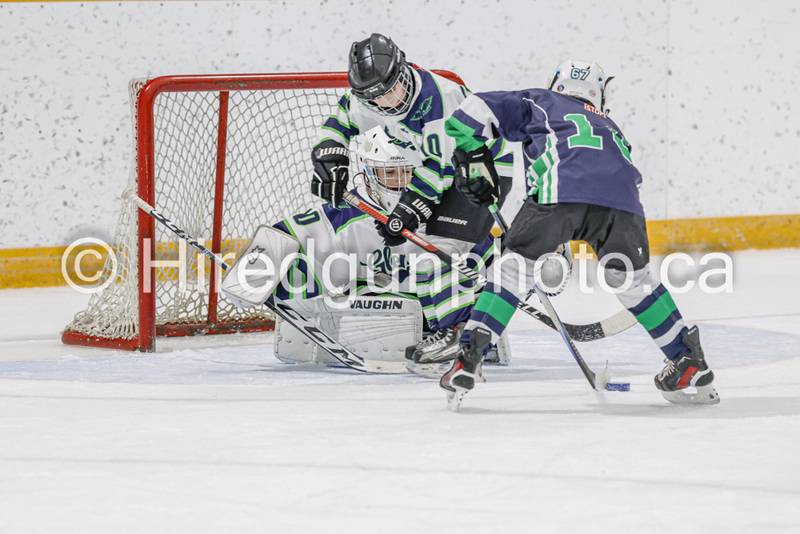 _gp_2269-U9 Oak Cougars(1).jpg