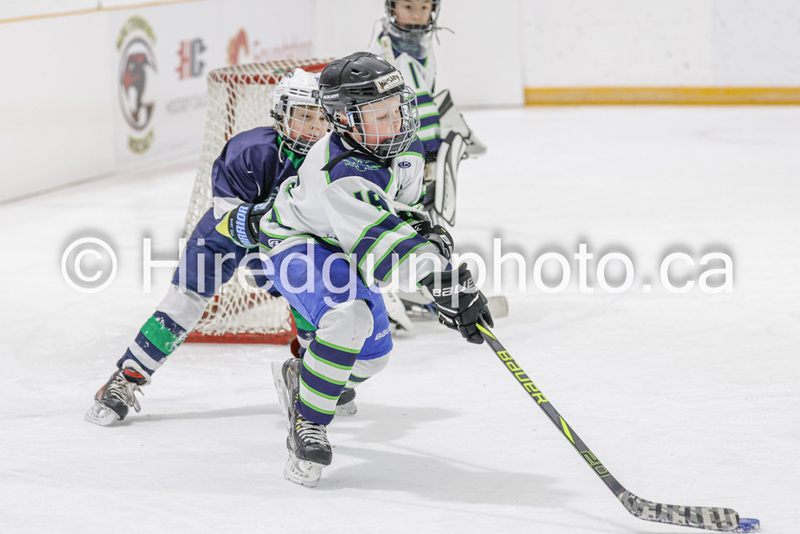 _gp_2280-U9 Oak Cougars(1).jpg