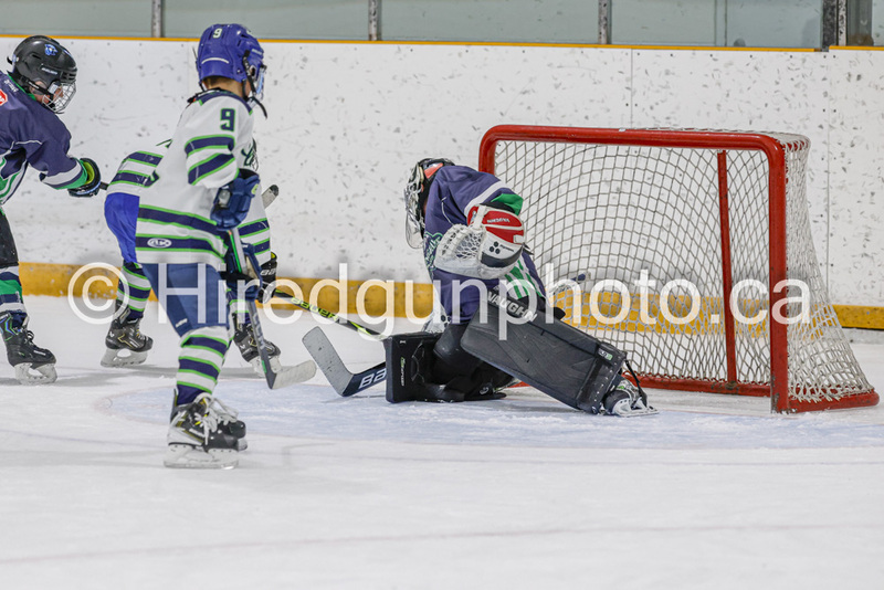 _gp_2310-U9 Oak Cougars(1).jpg