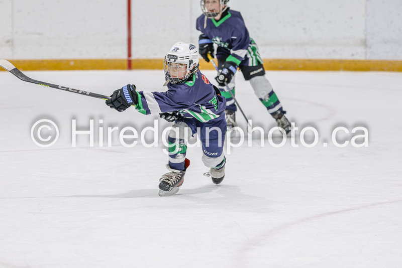 _gp_2316-U9 Oak Cougars.jpg