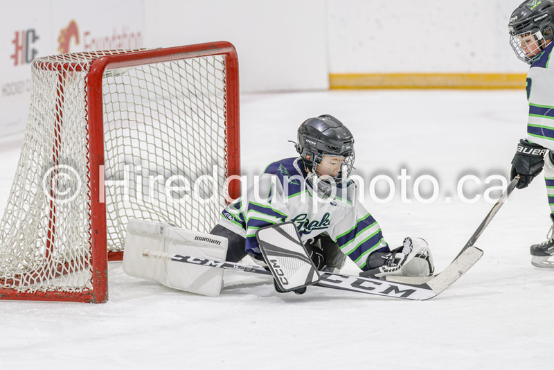 _gp_2317-U9 Oak Cougars.jpg