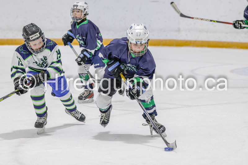 _gp_2320-U9 Oak Cougars(1).jpg