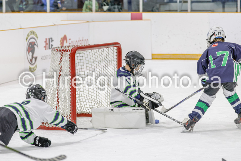 _gp_2321-U9 Oak Cougars(1).jpg