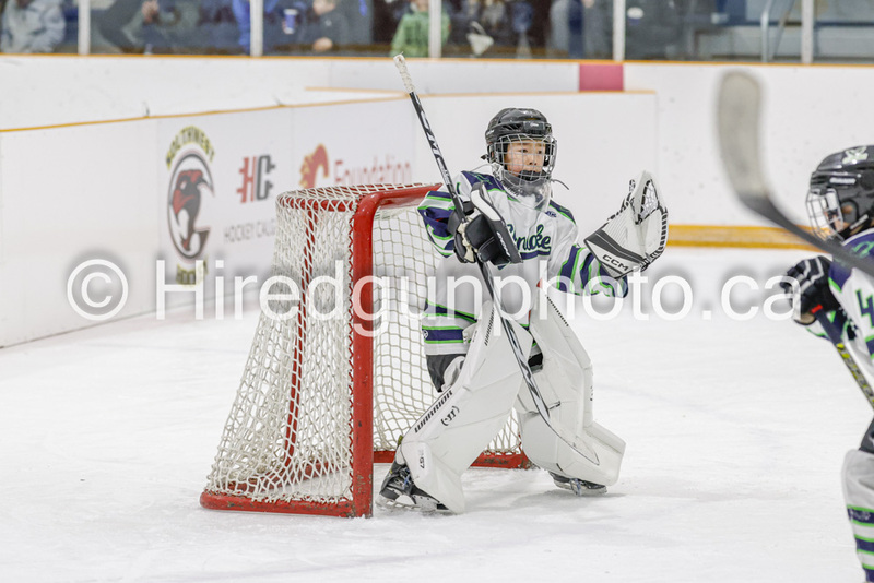 _gp_2333-U9 Oak Cougars(1).jpg