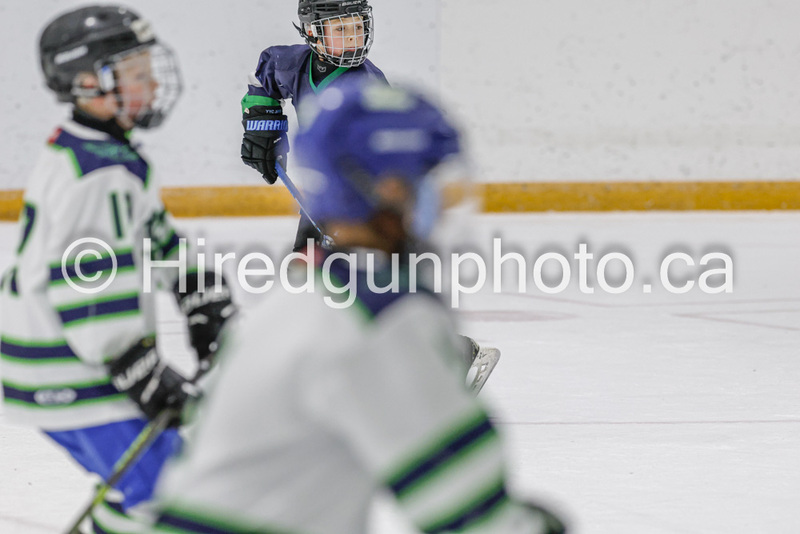 _gp_2344-U9 Oak Cougars(1).jpg