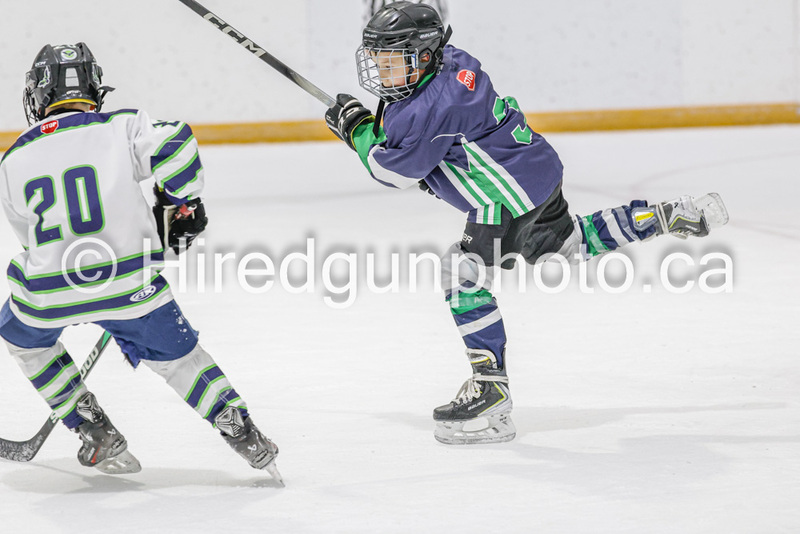 _gp_2350-U9 Oak Cougars(1).jpg