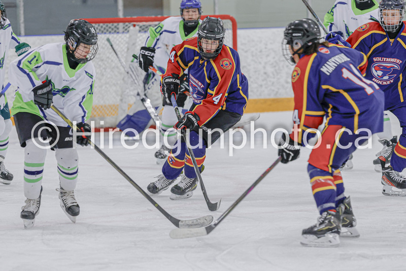 _gp_8675-SWCougars.jpg