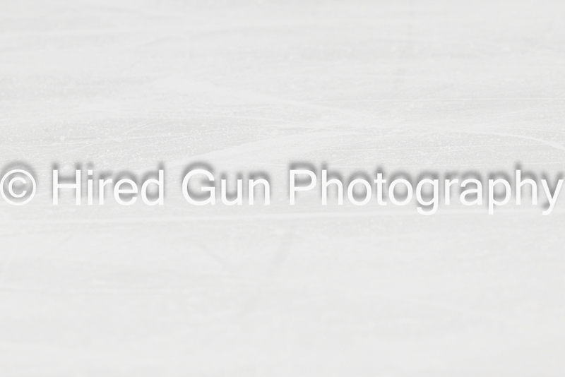 _gp_8900-Red Deer-.jpg