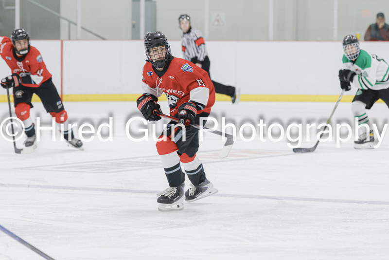 _gp_8953-Red Deer-(1).jpg