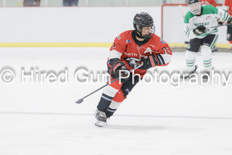 _gp_8990-Red Deer-(1).jpg