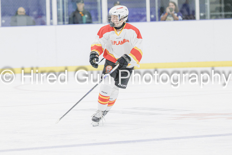 _gp_9113-Red Deer-(1).jpg