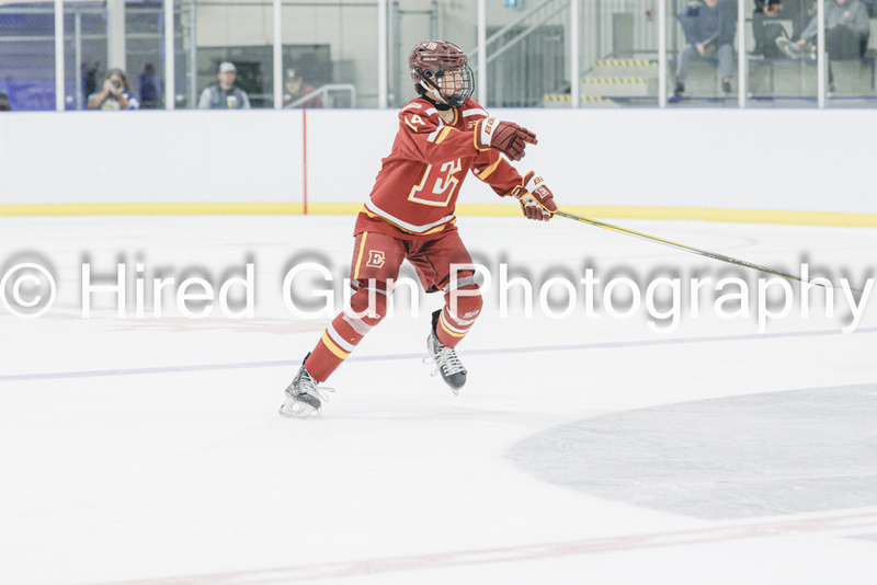 _gp_9172-Red Deer-(1).jpg