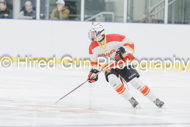 _gp_9305-Red Deer-(1).jpg
