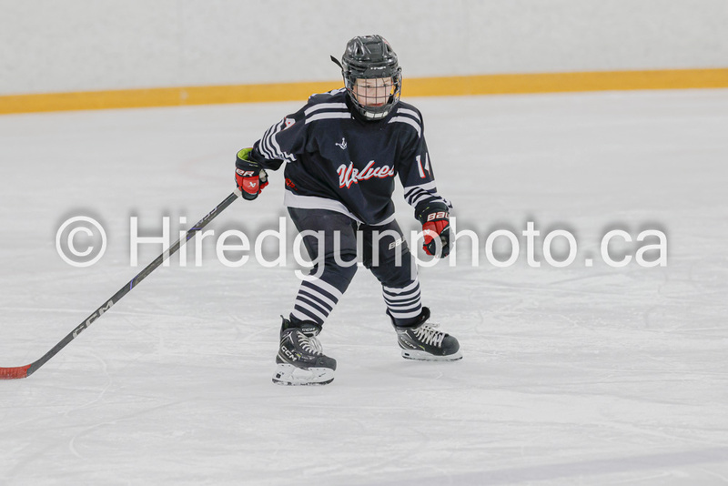 _gp_9336-SWCougars.jpg