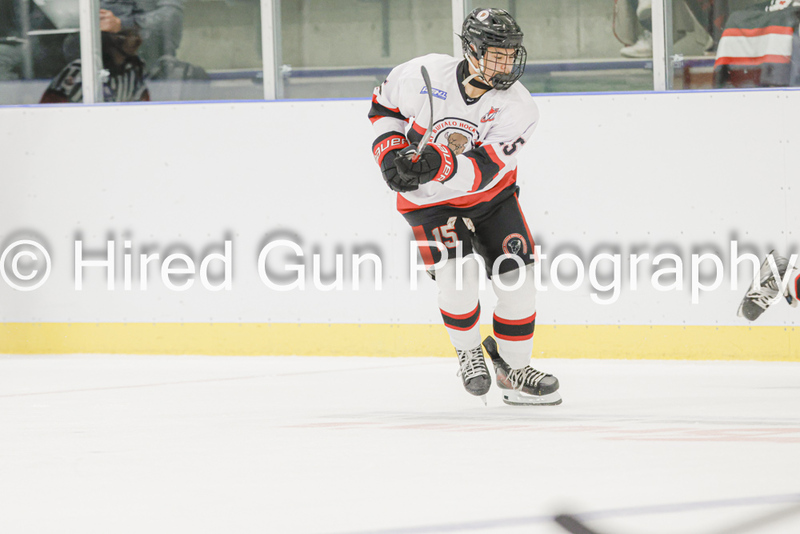 _gp_9542-Red Deer-(1).jpg