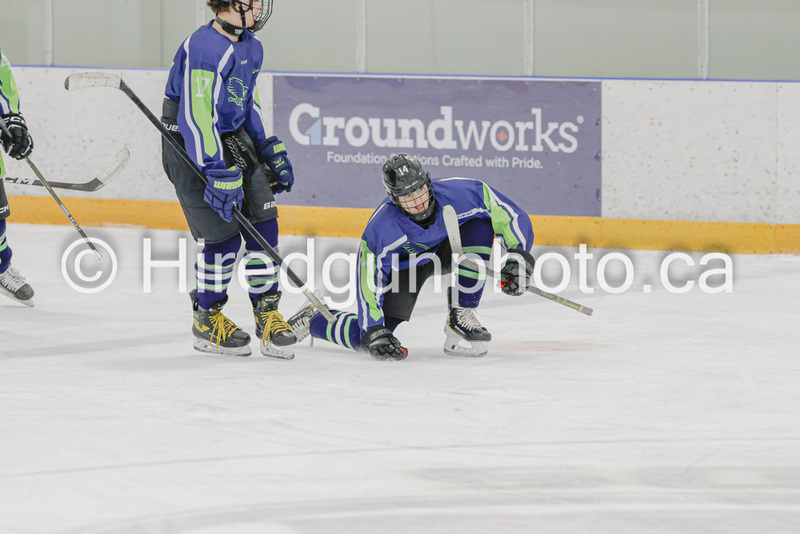 _gp_9889-SWCougars.jpg
