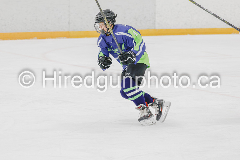 _gp_9935-SWCougars.jpg