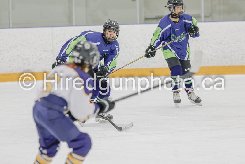 _gp_9962-SWCougars.jpg