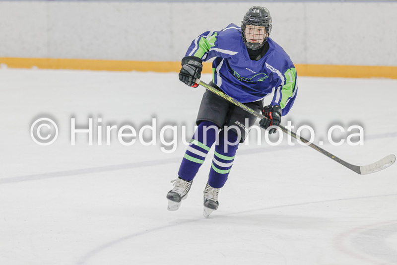 _gp_9976-SWCougars.jpg