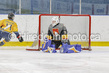 _gp_7891-U18 Cowtown.jpg