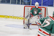 _gp_8171-U18 Cowtown.jpg