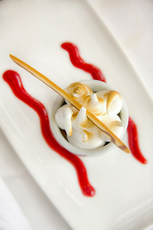 Espresso Sorbet with Meringue and Raspberry Sauce on White Plate.jpg :: Espresso Sorbet with Raspberry Sauce in Whte Plate
