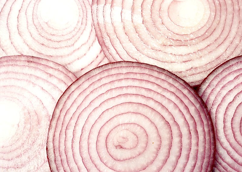 Onion slices (red).jpg