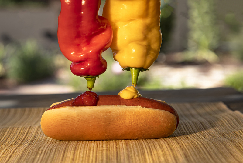 Red and Yellow Bell Peppers as Ketchup and Mustard Dispensers 093F(1).jpg :: Hot dog in a bun being dressed with ketchup and mustard from a red and yellow bell pepper that look like condiment containers