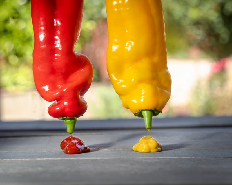 Red and Yellow Bell Peppers as ketchup and mustard dispensers 035(1).jpg :: Red and Yellow Bell Peppers as ketchup and mustard dispensers