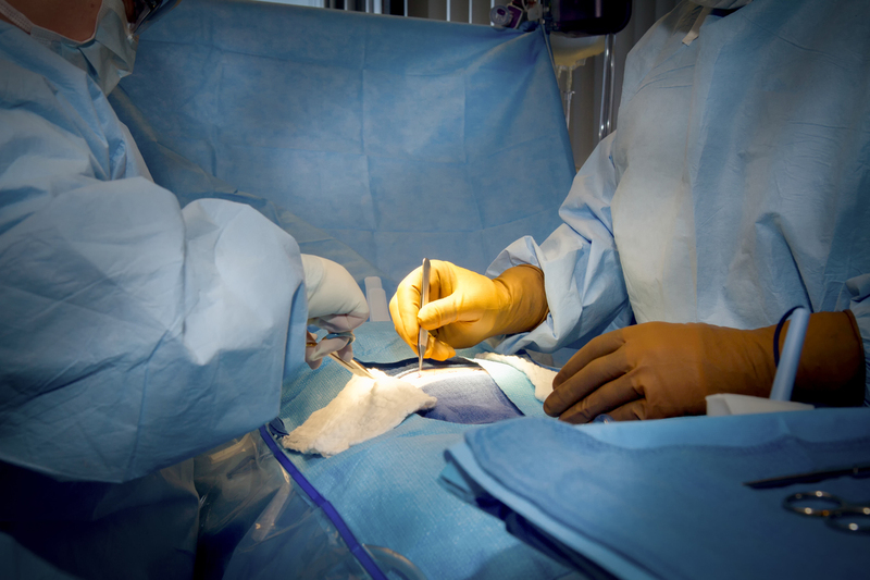 Surgical Students in operating room 001.jpg