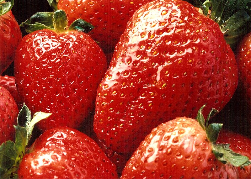 Fruit Strawberries 1.jpg