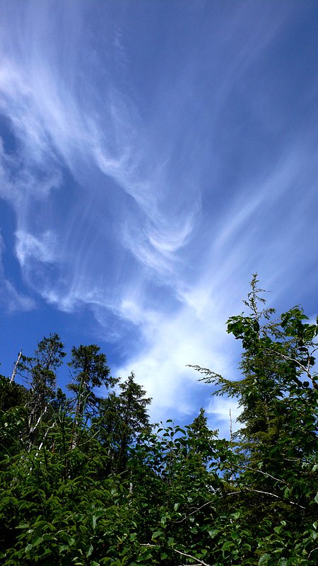 Alaskan Sky 025.jpg