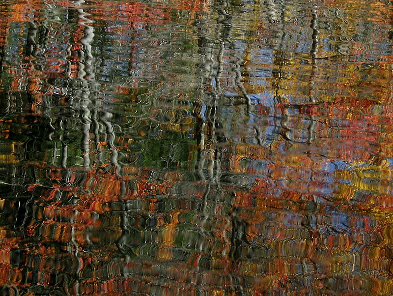 Autumn Reflections 2 silver red yellow NH 2116.jpg