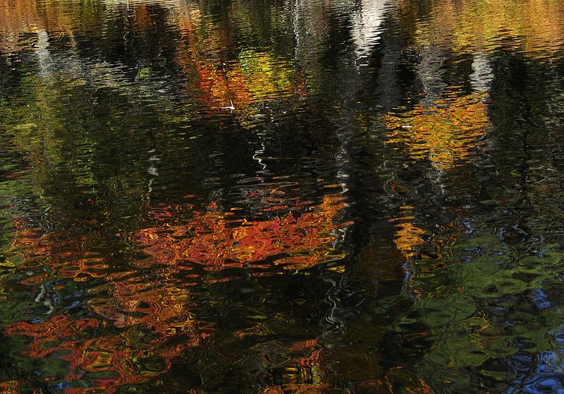 Autumn Reflections black red NH 2117.jpg