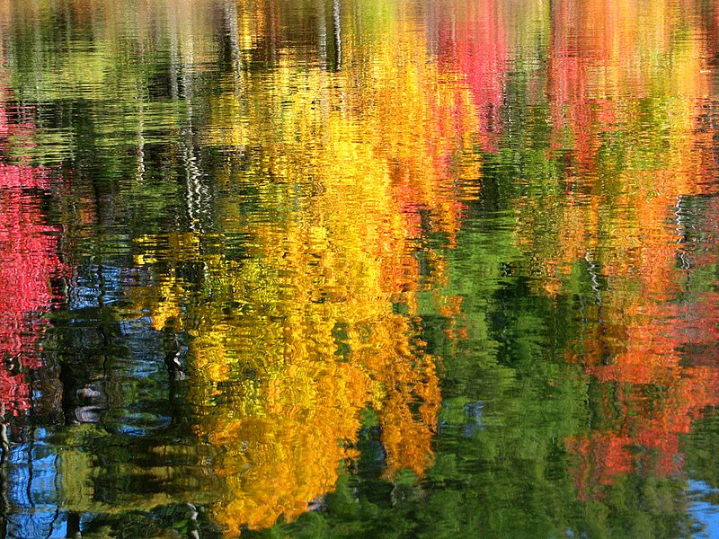 Autumn Reflextions yellow red NH_2111.jpg