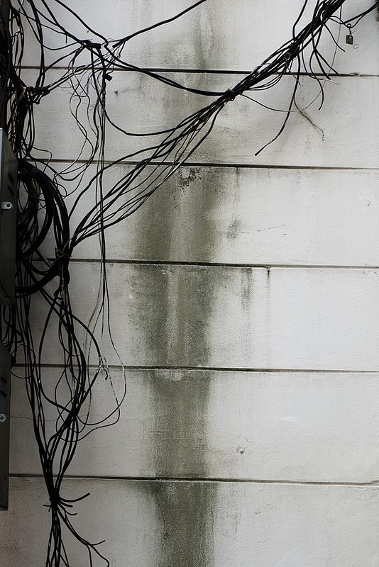 Bangkok Electric 0328.jpg