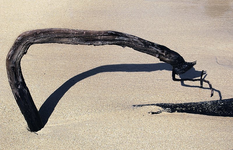 Beach Calligraphy 2 0152.jpg