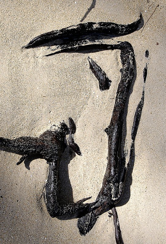 Beach Calligraphy 4 0157.jpg
